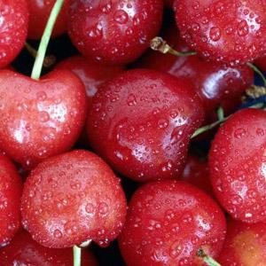 Un carpaccio de cerises